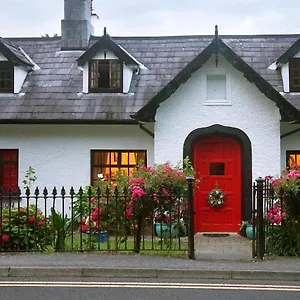 Bed and breakfast Ivy